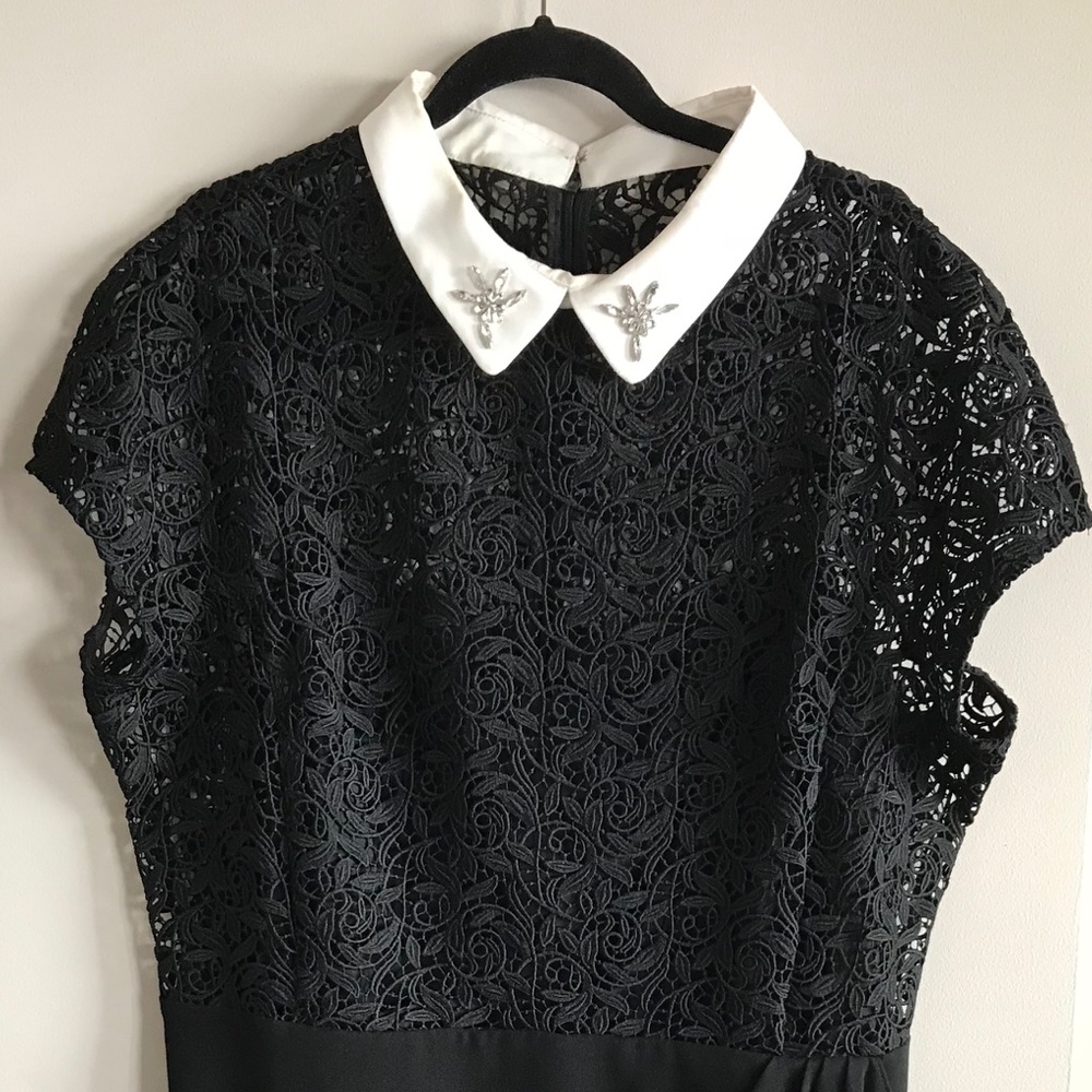 Teri Jon Lace Dress with Collar